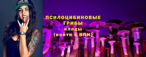 spice Арсеньев