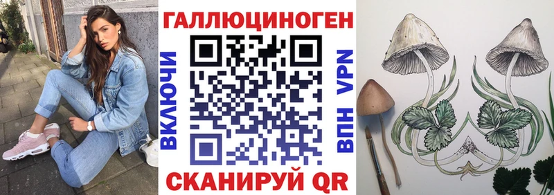 мориарти Telegram  купить наркотики цена  Горно-Алтайск  Галлюциногенные грибы Psilocybe 