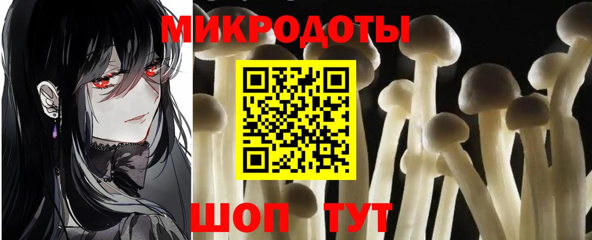 Галлюциногенные грибы Psilocybe  Вход с VPN  Псилоцибиновые грибы ЛСД  Горно-Алтайск 